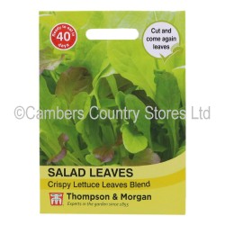 Thompson & Morgan Salad Leaves Crispy Lettuce Blend